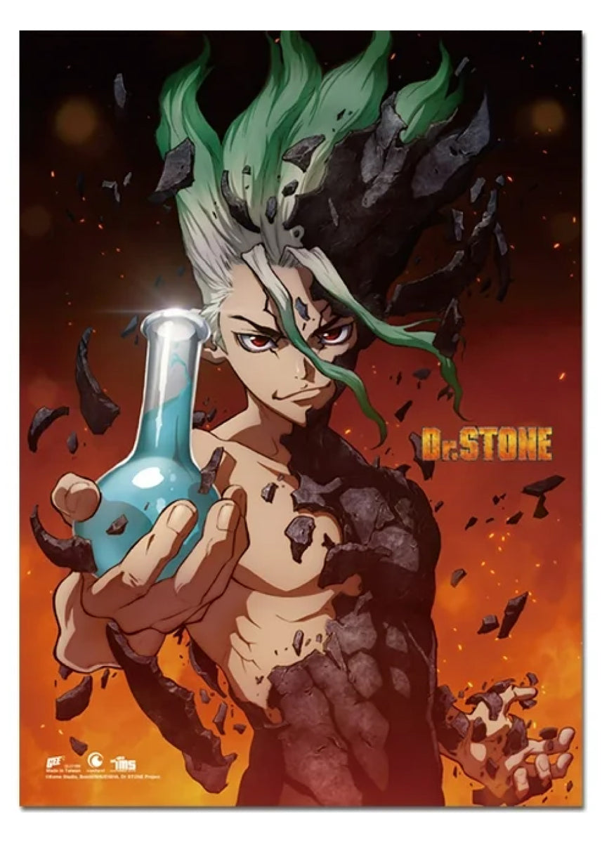 Dr. Stone- Senku Ishigami Wall Scroll– Best Anime Shop